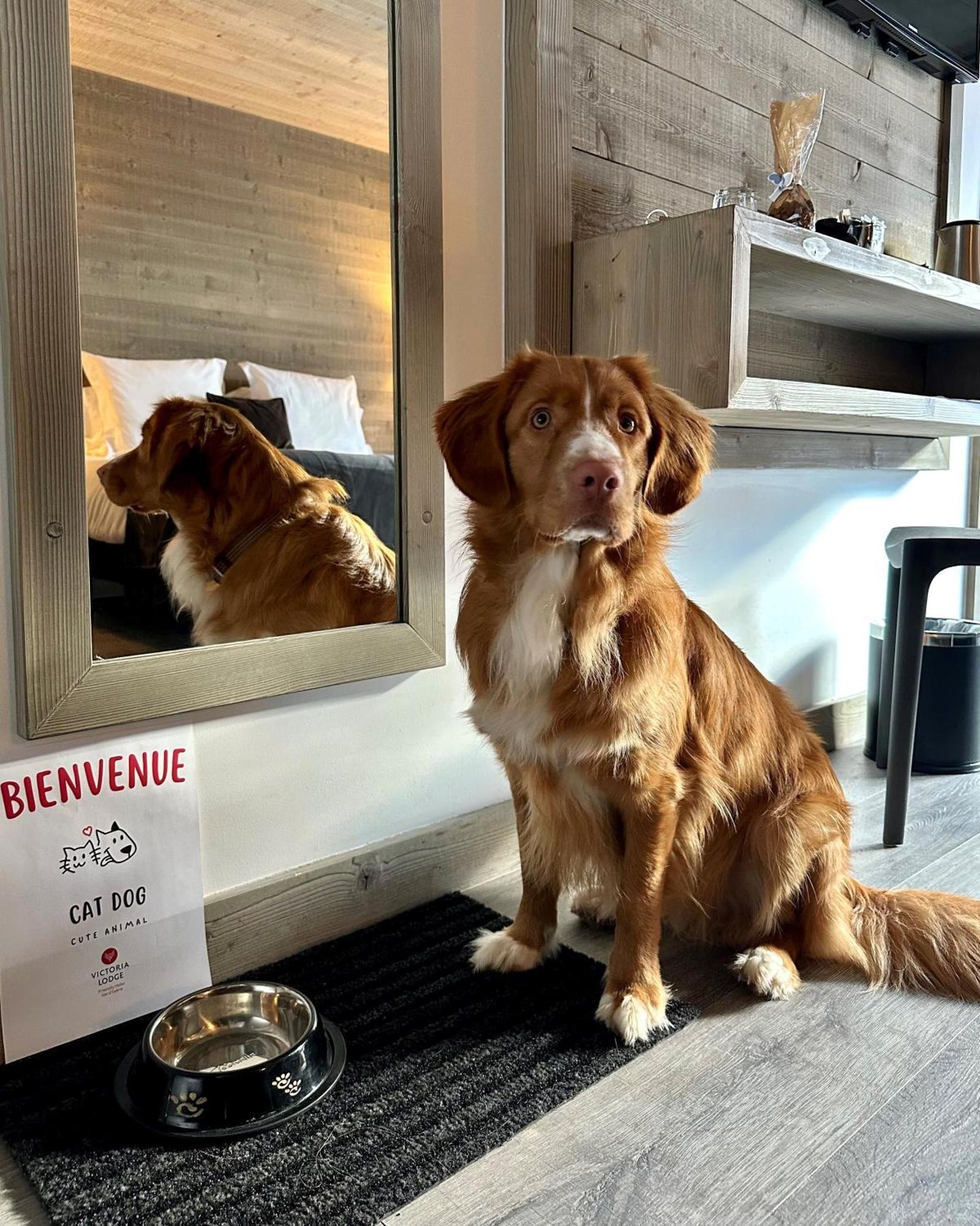 Victoria Lodge, Friendly Hotel Val-dʼIsère エクステリア 写真